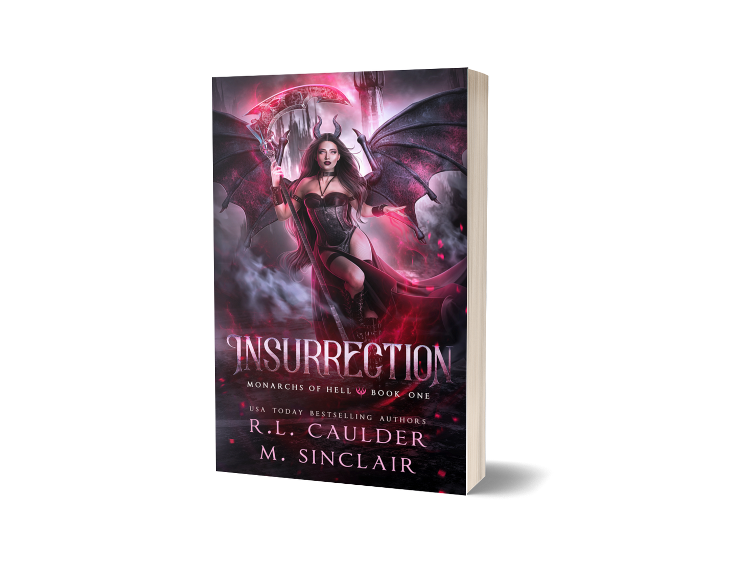 (scratch&dent) Insurrection Paperback Signed